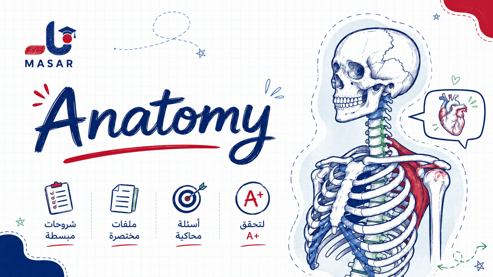 Anatomy